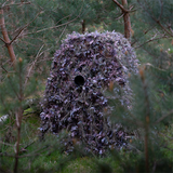 Buteo Photo Gear Hybrid Camouflagenet Natural Green 1,5x3 m
