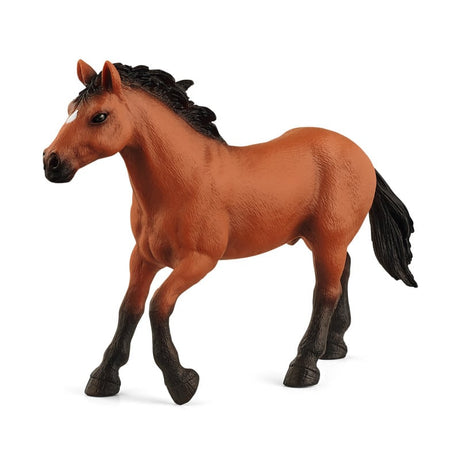 Schleich hest Appaloosa hingst 72152