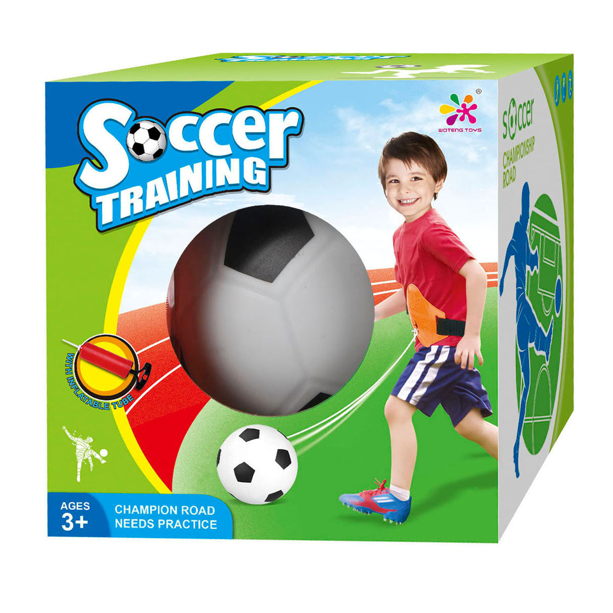 Fodbold træner