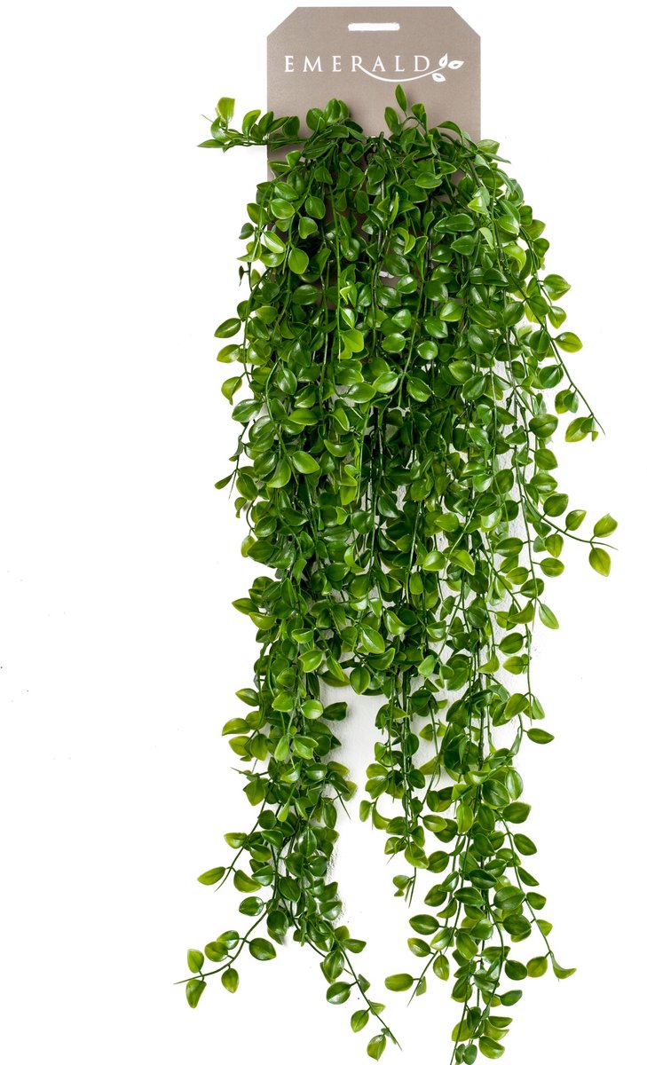Emerald - kunstig hængeplante ficus pumila 80cm - kunstig plante til indendørs