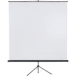 Projektionslærred franken x-traline 240x240cm hvid