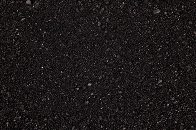 Komodo caco sand sort