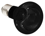 Komodo Night Lamp Lampe es