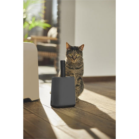 Rotho mypet rensesæt 16,2x9,1x29 cm - kattebakke - antracit antracit