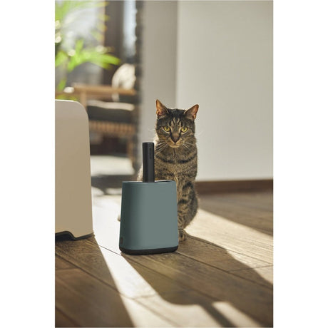 Rotho mypet rensesæt 16,2x9,1x29 cm - kattebakke - grøn antracit