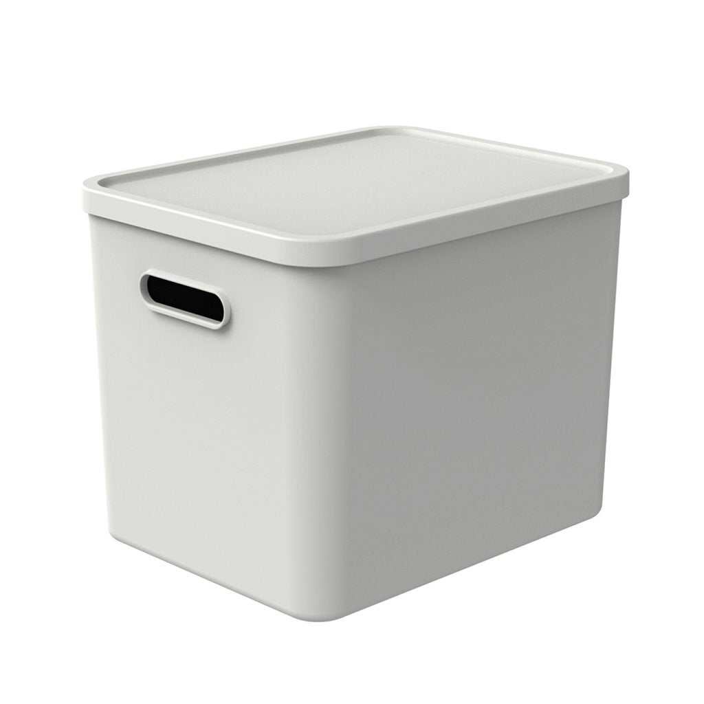 Rotho albula multiboks 29,5x29x37 cm 27l hvid