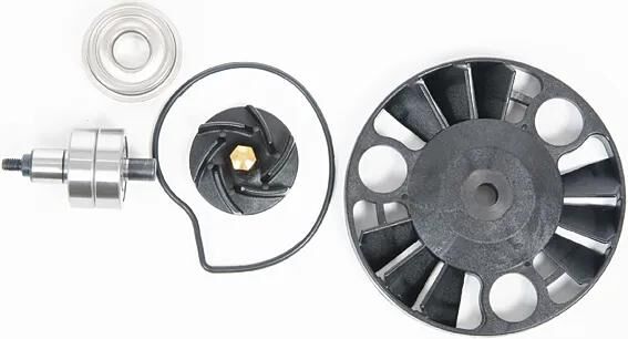 Tecnium reparatursatz wasserpumpen vandpumpe aksler piaggio motor 125, 8665
