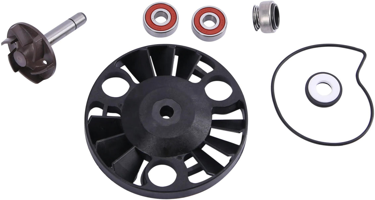 RMS reparation wasserpumpen vandpumpe aksler Piaggio 125-200