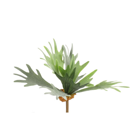 Countryfield kunstig plante platycerium grøn 10xh63,5cm