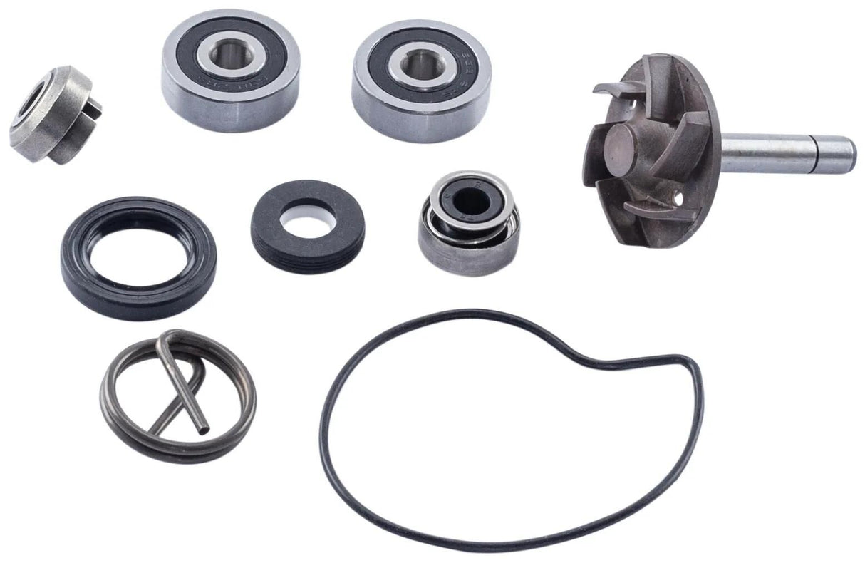 Rms reparation wasserpumpen vandpumpe aksler piaggio 250