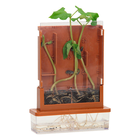 Eksperimenter - plantelabyrint, 21 dele.