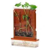 Eksperimenter - plantelabyrint, 21 dele.