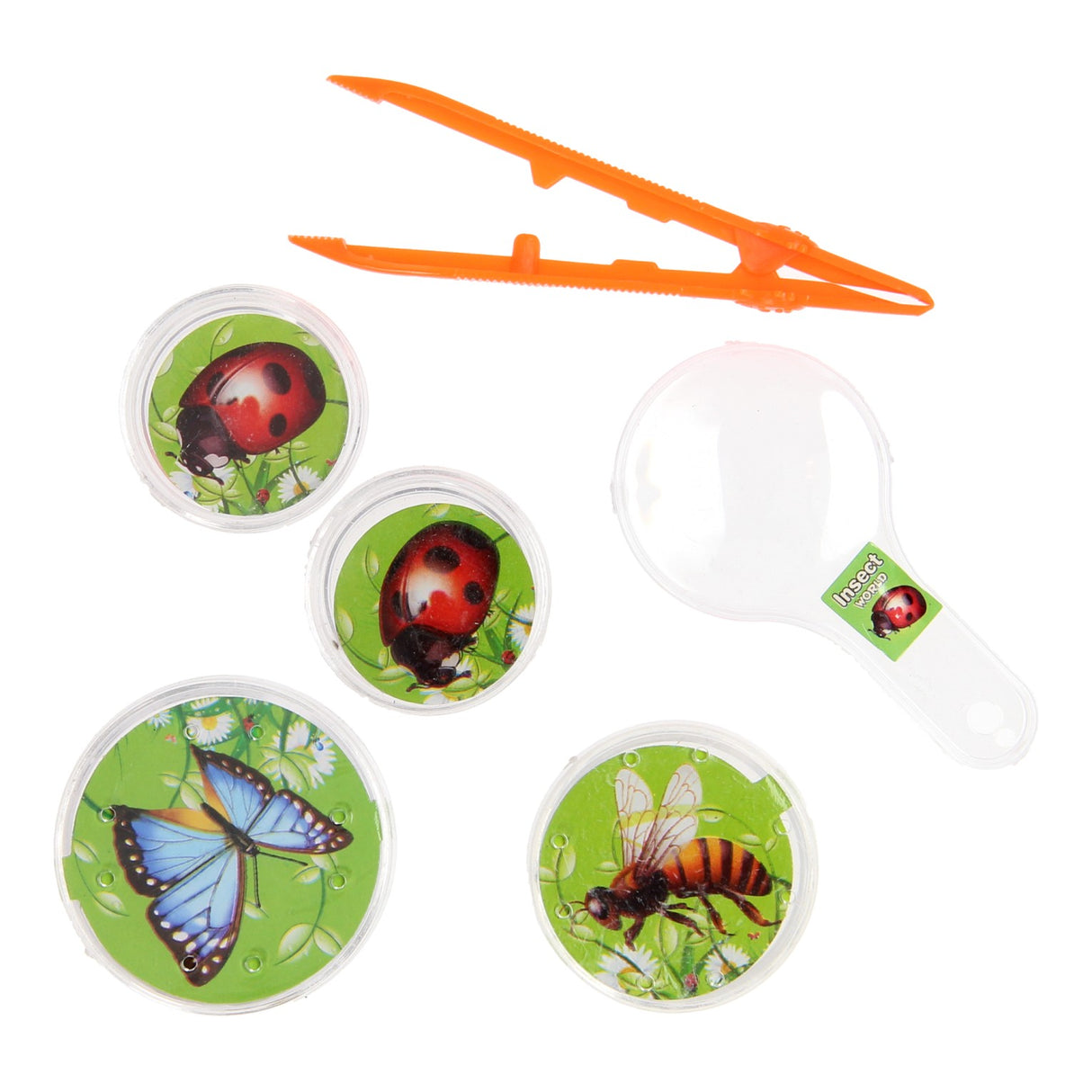 Bugs World Insect Observation Set, 5 stykker