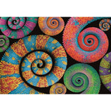 Clementoni colorboom samling puslespil krøllet 500 brikker