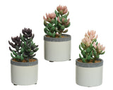 Decoris kunstig plante sukkulent plante i keramisk potte h14