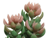 Decoris kunstig plante sukkulent plante i keramisk potte h14