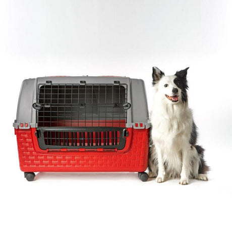 Bama dyretransportkasse med hjul 88x52x60 cm rød grå