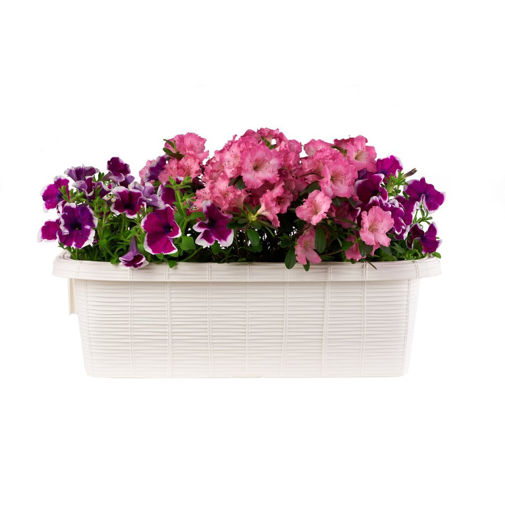 Bama fioriera blomster altankasse 60x20x18,5 cm hvid