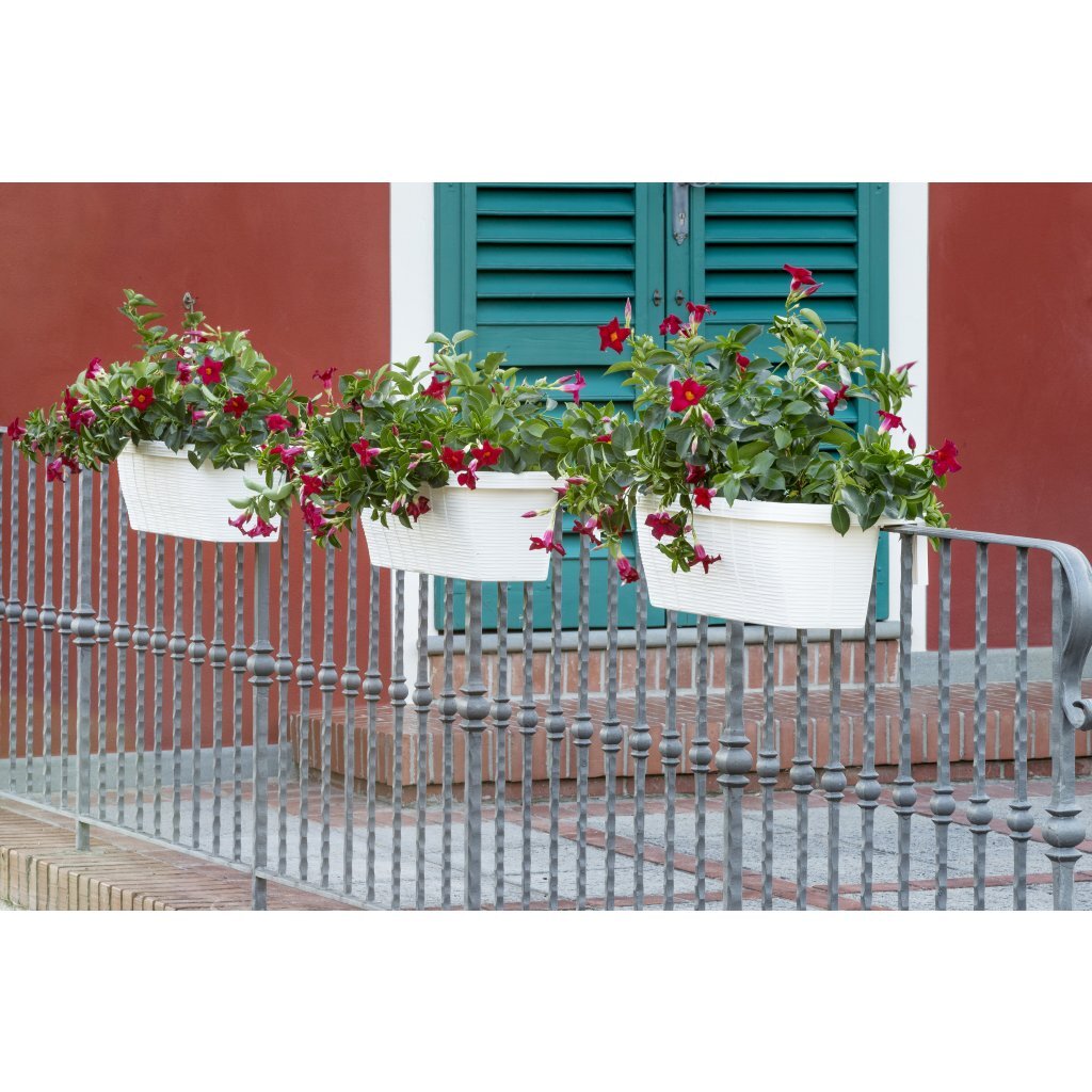 Bama fioriera blomster altankasse 60x20x18,5 cm hvid