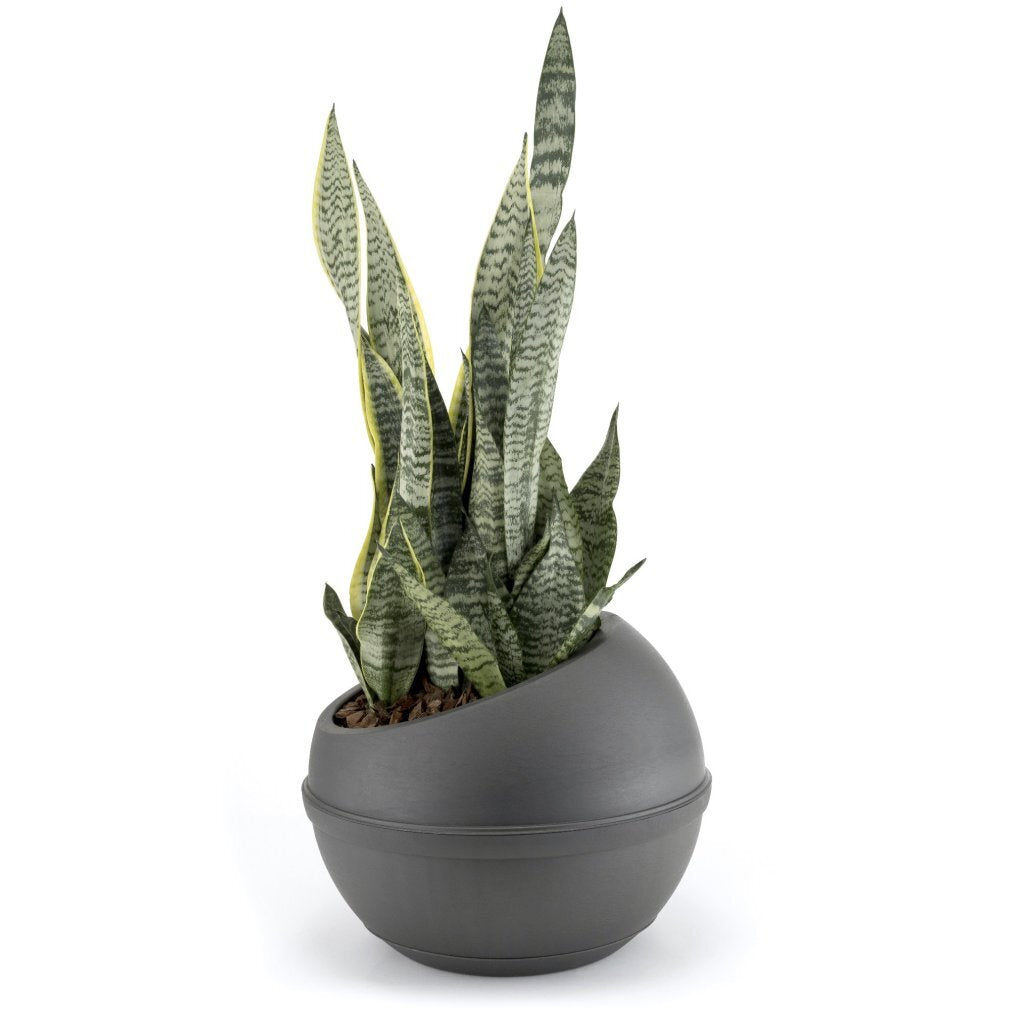 Bama sfera urtepotte 23l 40,5x32 cm antracit