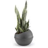 Bama sfera urtepotte 23l 40,5x32 cm antracit
