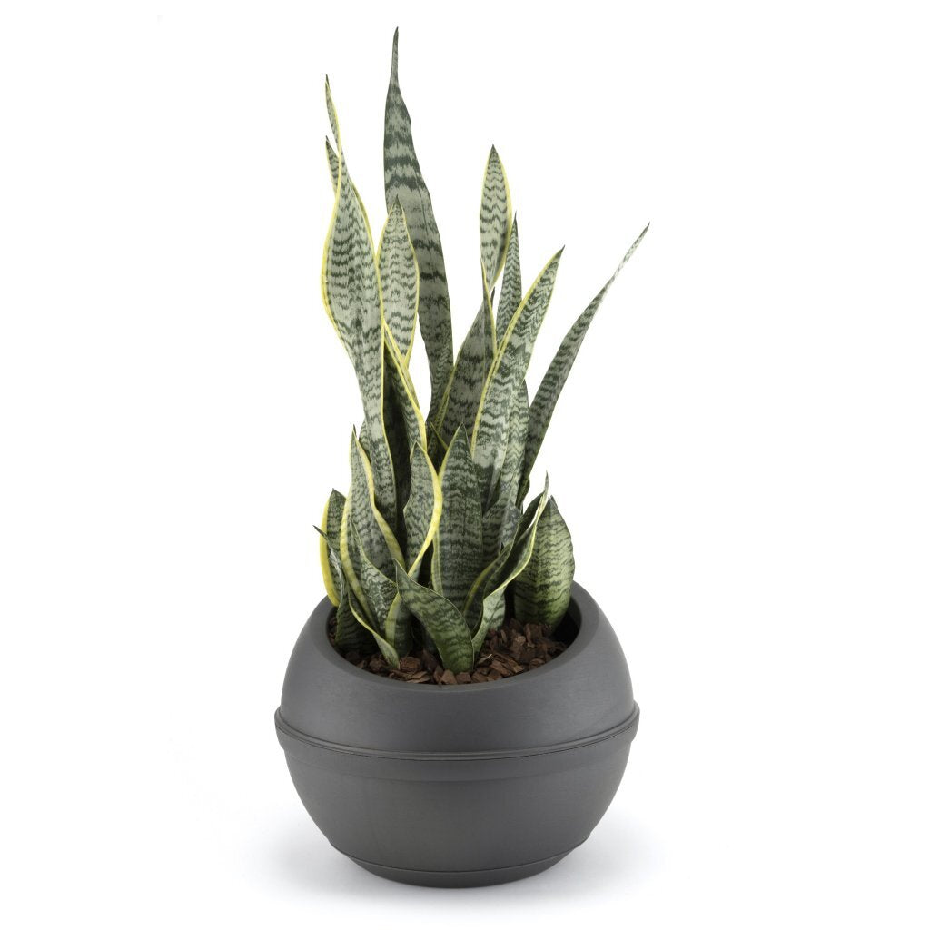 Bama sfera urtepotte 23l 40,5x32 cm antracit