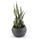 Bama sfera urtepotte 23l 40,5x32 cm antracit