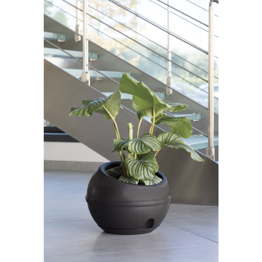 Bama sfera urtepotte 23l 40,5x32 cm antracit