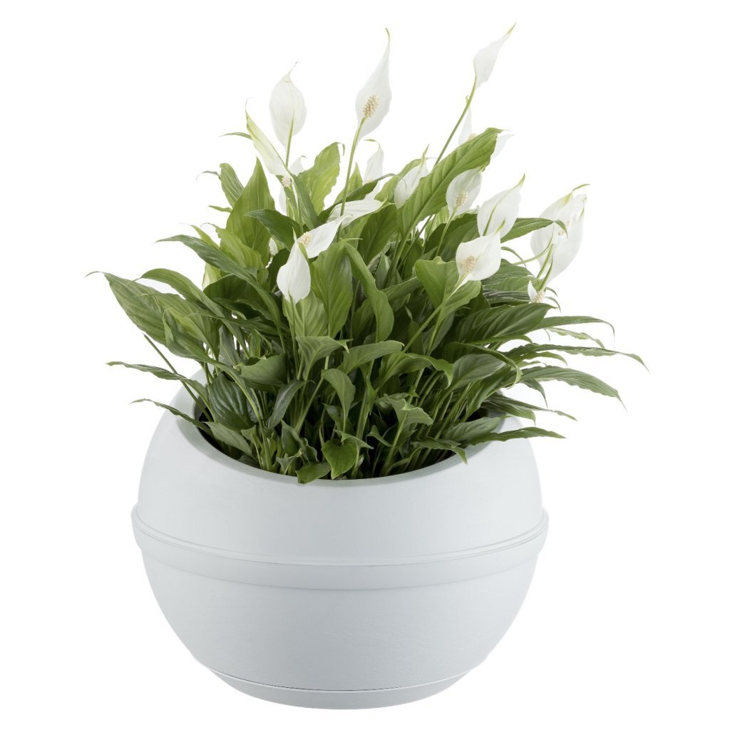 Bama sfera urtepotte 23l 40,5x32 cm hvid
