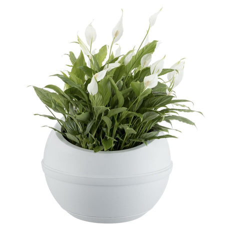 Bama sfera urtepotte 23l 40,5x32 cm hvid