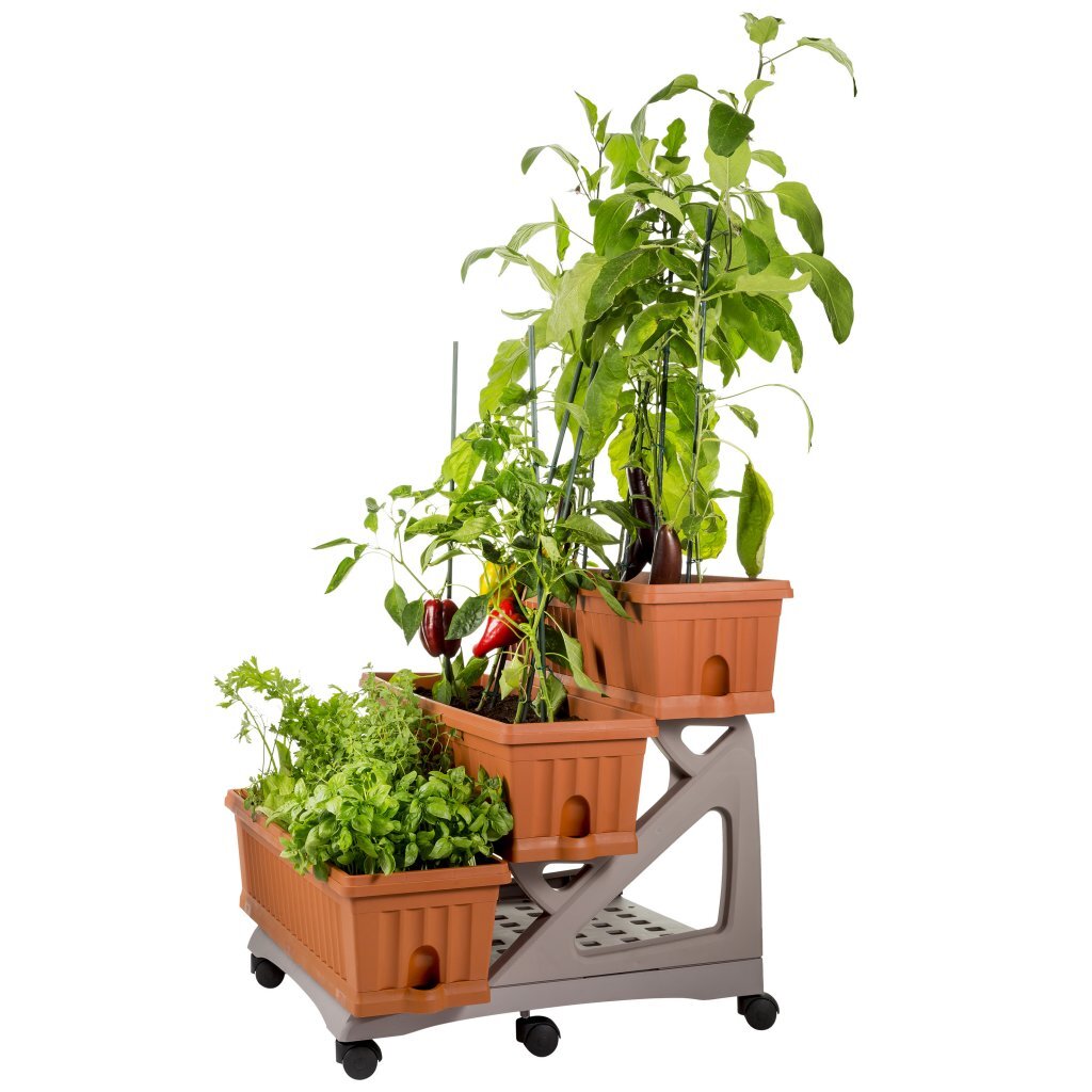 Bama orto di kit plantekasser 80x74x73 cm terracotta