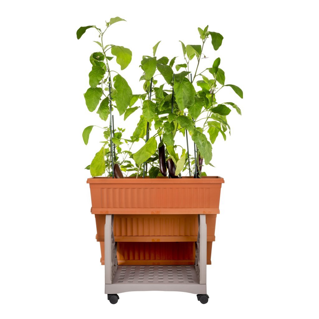 Bama orto di kit plantekasser 80x74x73 cm terracotta