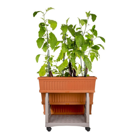 Bama orto di kit plantekasser 80x74x73 cm terracotta