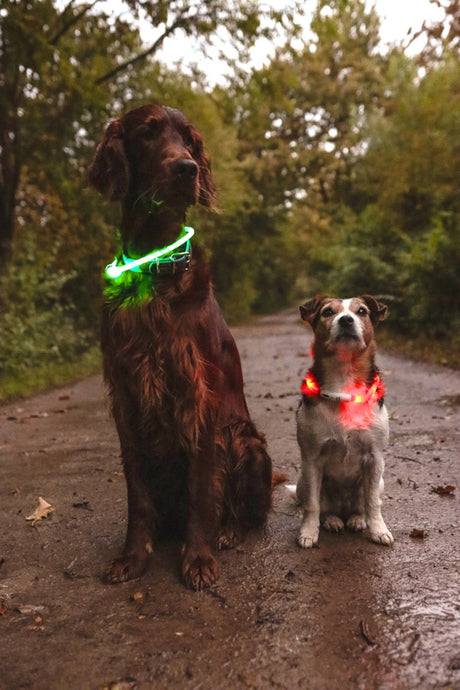 Flamingo visio leora - halsbånd hunde - halsbånd led leora grøn 33-63,5 cm 8mm - 1 stk - 127009 - 1 stk