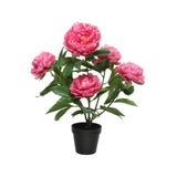 Decoris kunstig plantepæon i pottepolyester 41x47x57cm fuchsia