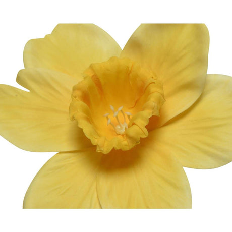 Decoris kunstig blomst påskelilje h39cm gul hvid 2 ass