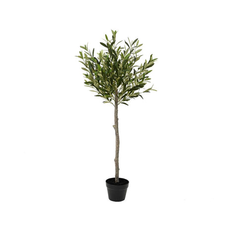 Decoris