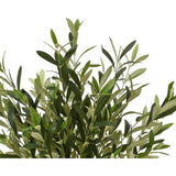 Decoris kunstigt træ oliventræ i potte 570 blade dia45x120cm grøn