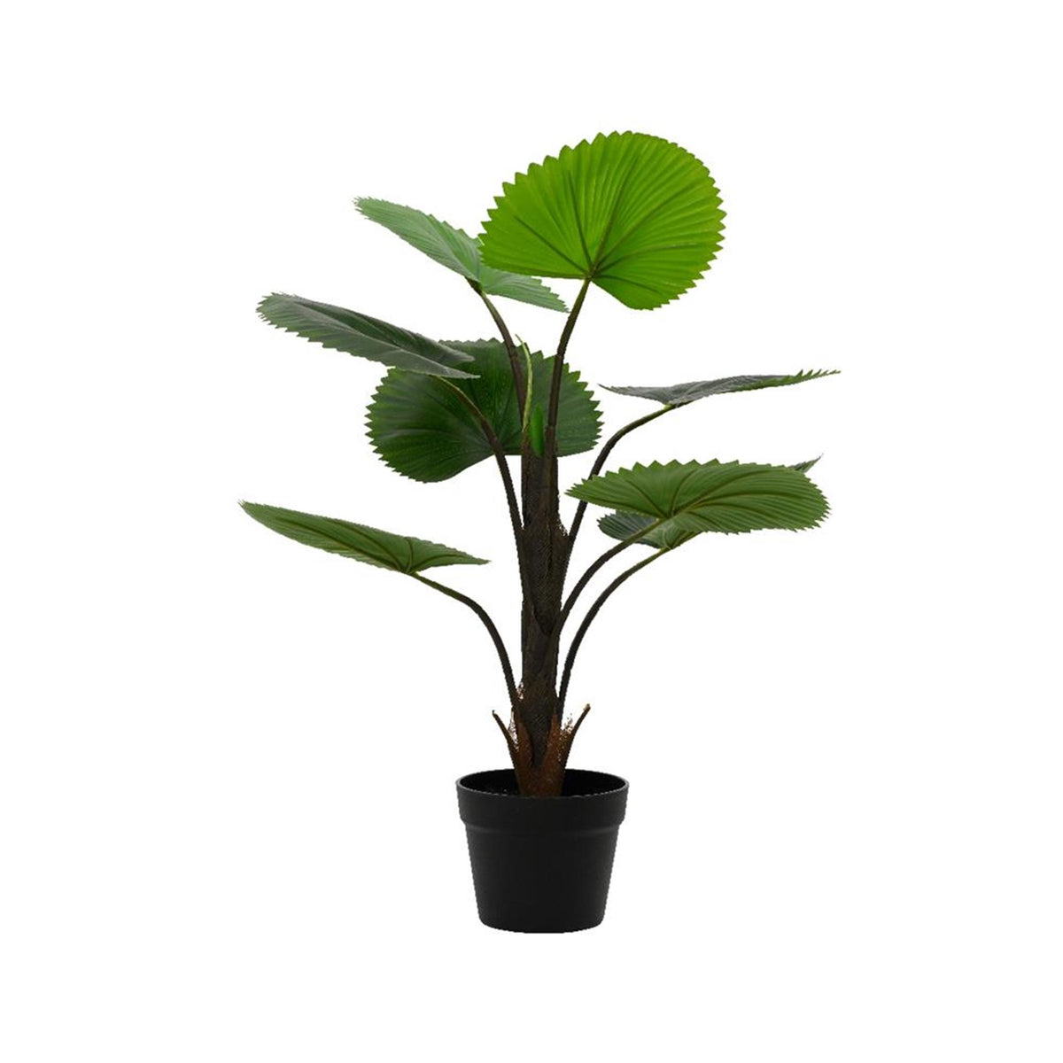 Decoris kunstig plante licuala palme h75cm
