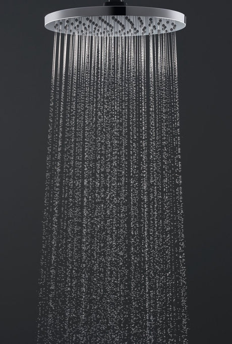 Hansgrohe lak hovedbruser 20cm økosmart krom