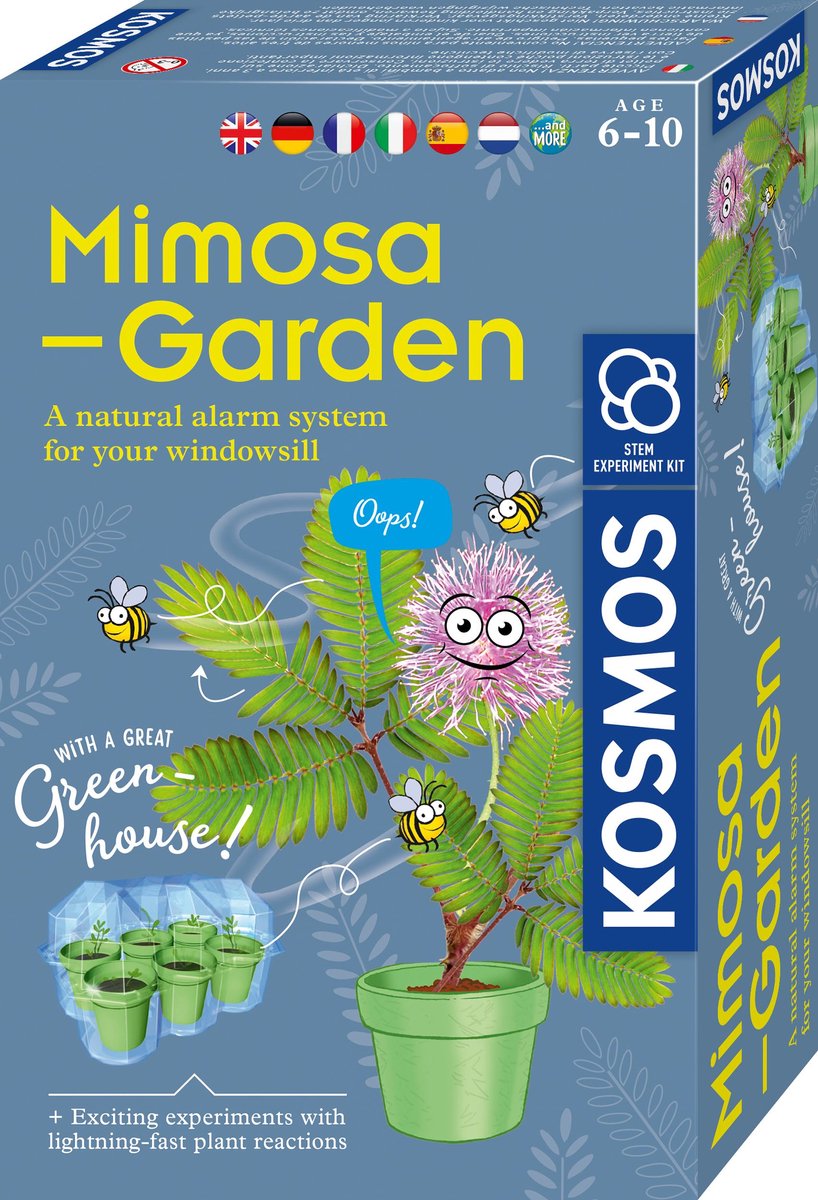 Cosmos mimosa havelegesæt