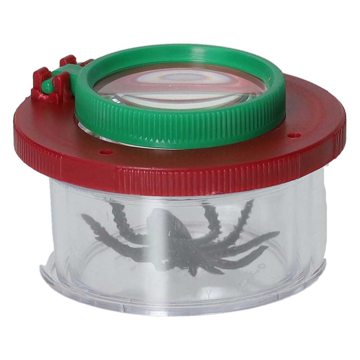 Insektpotte med forstørrelsesglas
