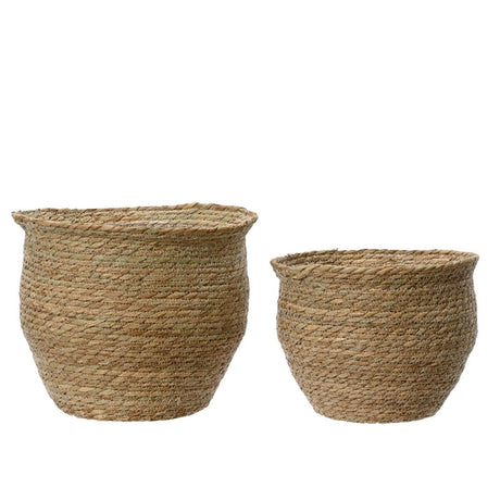 Decoris urtepotte rush 2-delt