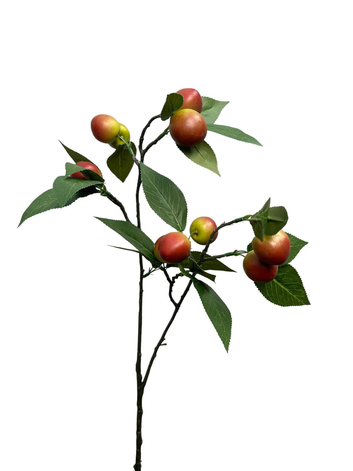 Roberts collection plum tak small 75cm groen rood