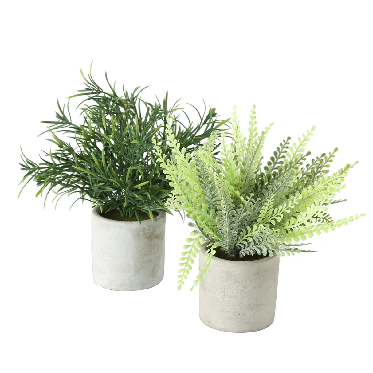 Boltze kunstig hjemmeplante i 2 versioner rosmarin eller bregne 2 assorteret