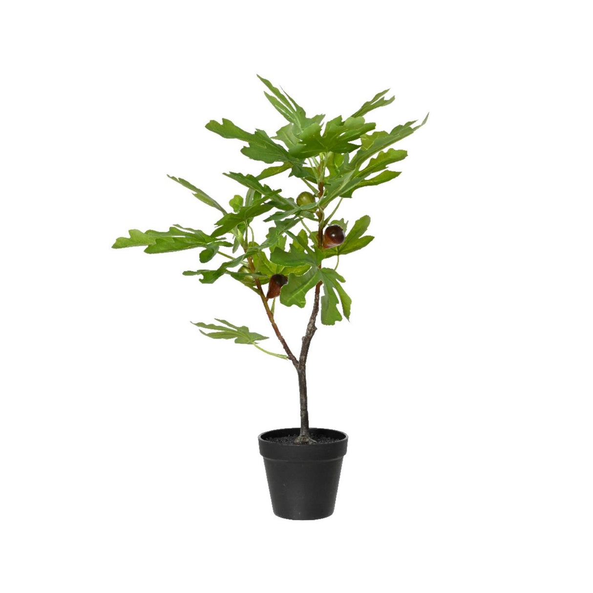 Decoris figentræ i potte 40cm x b.35cm x h.60cm