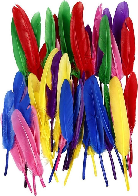 Creativ virksomhed https: www.cchobby.nl feathers-l-13-cm-various-colors-48-piece-1-box