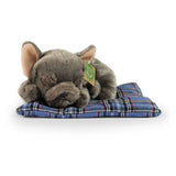 Plys fransk bulldog på pude 23 cm ec