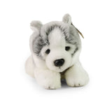 Plys husky 24 cm miljøvenlig