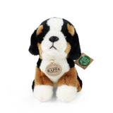 Plys Berner Sennenhund 18 cm eco-venlig